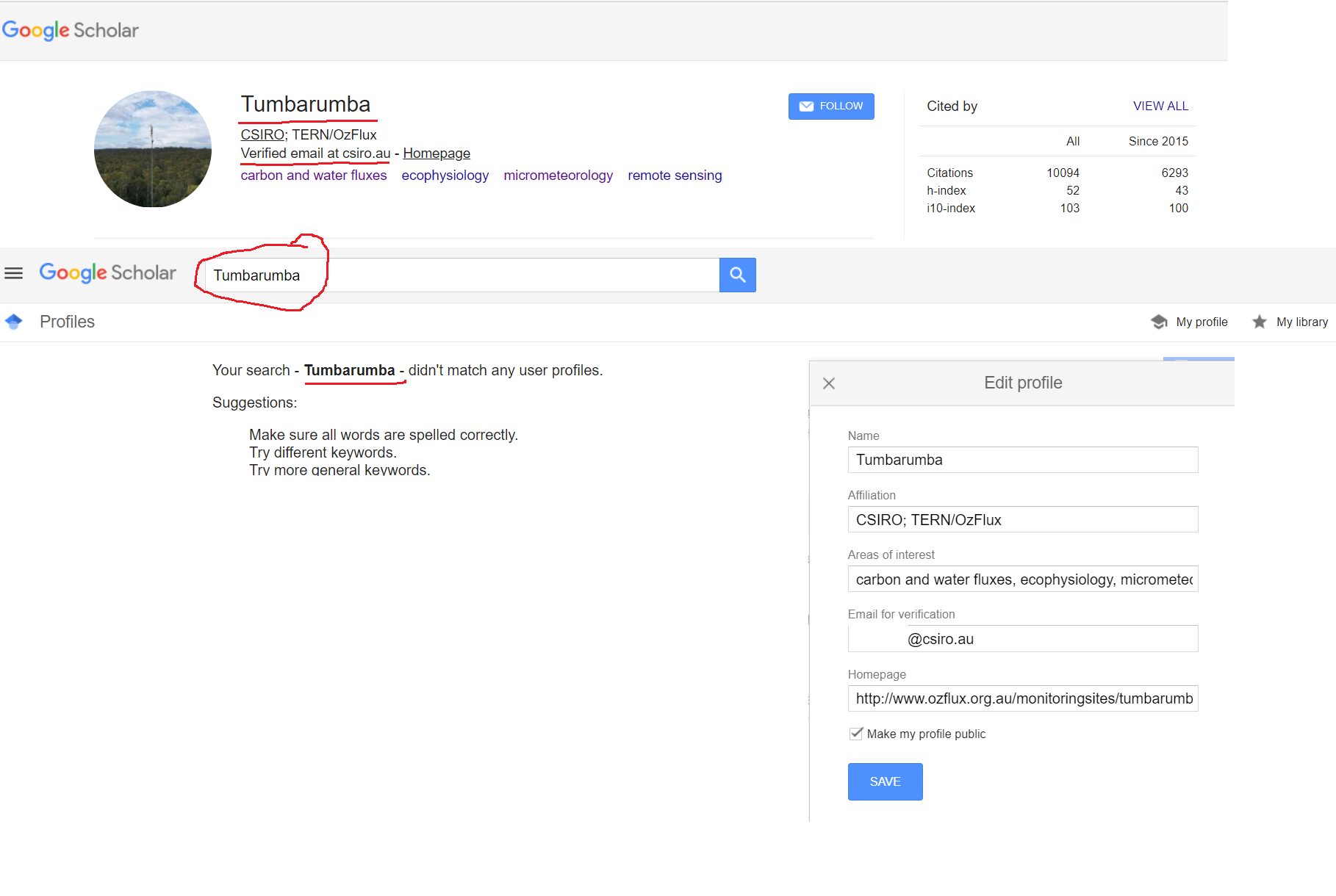 Why Google Scholar does not show all citations?