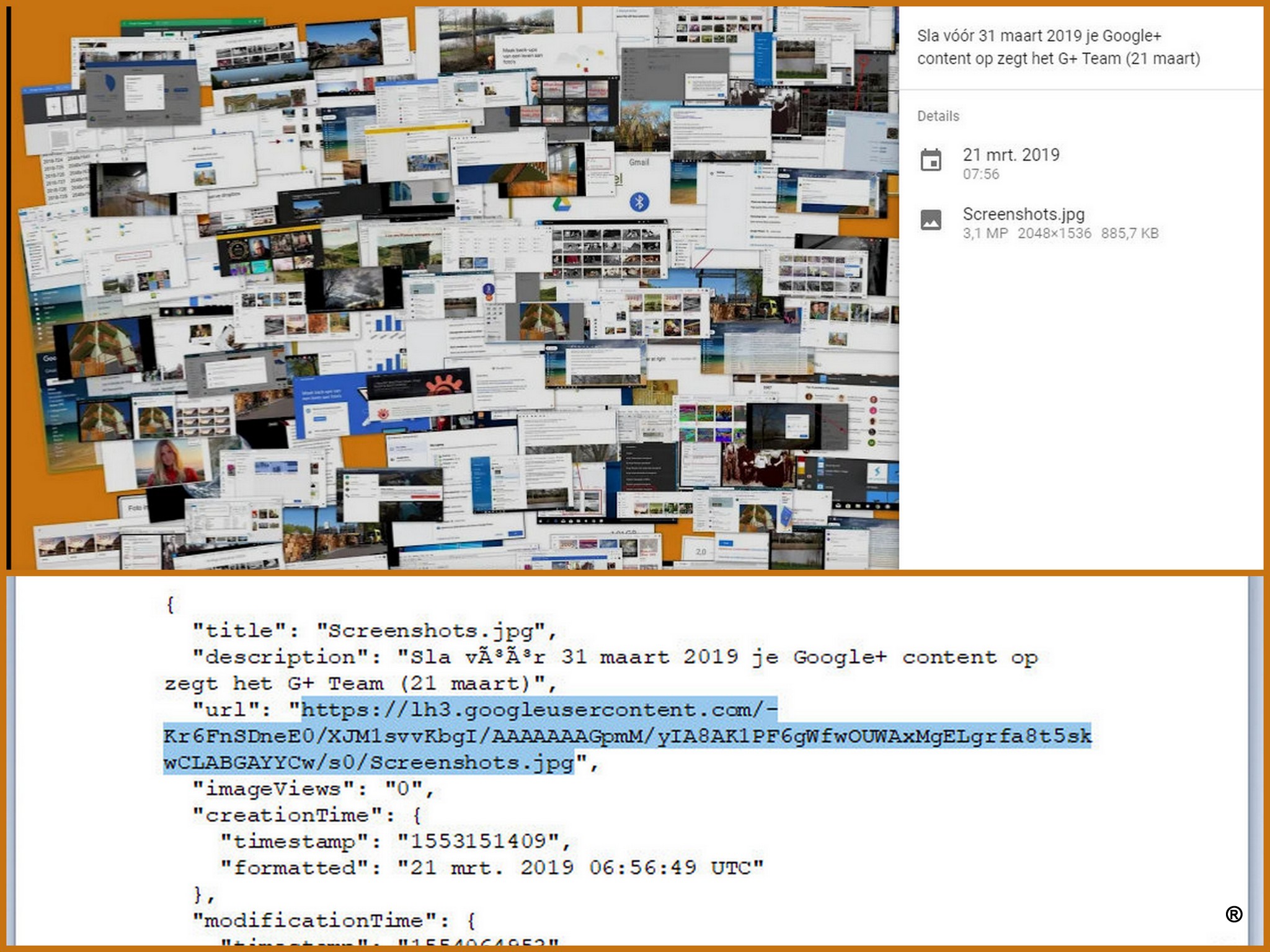 Google visual data 5