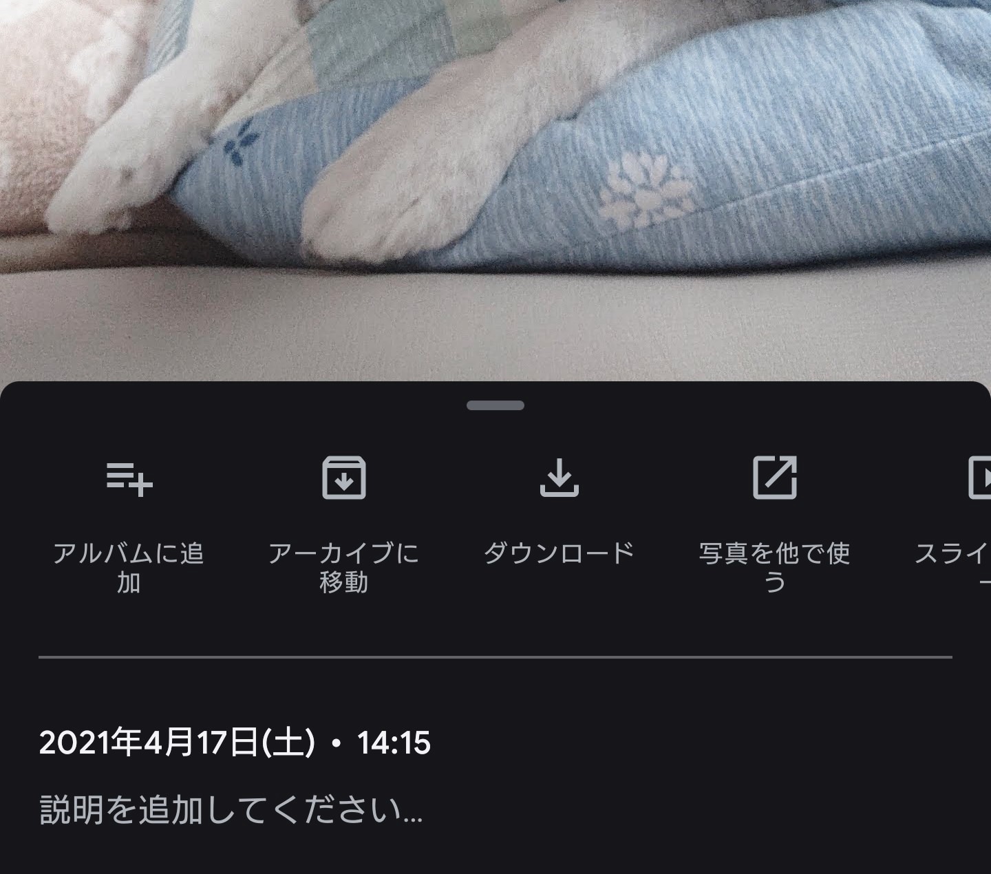 フォト 人物 追加