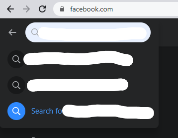 facebook search bar