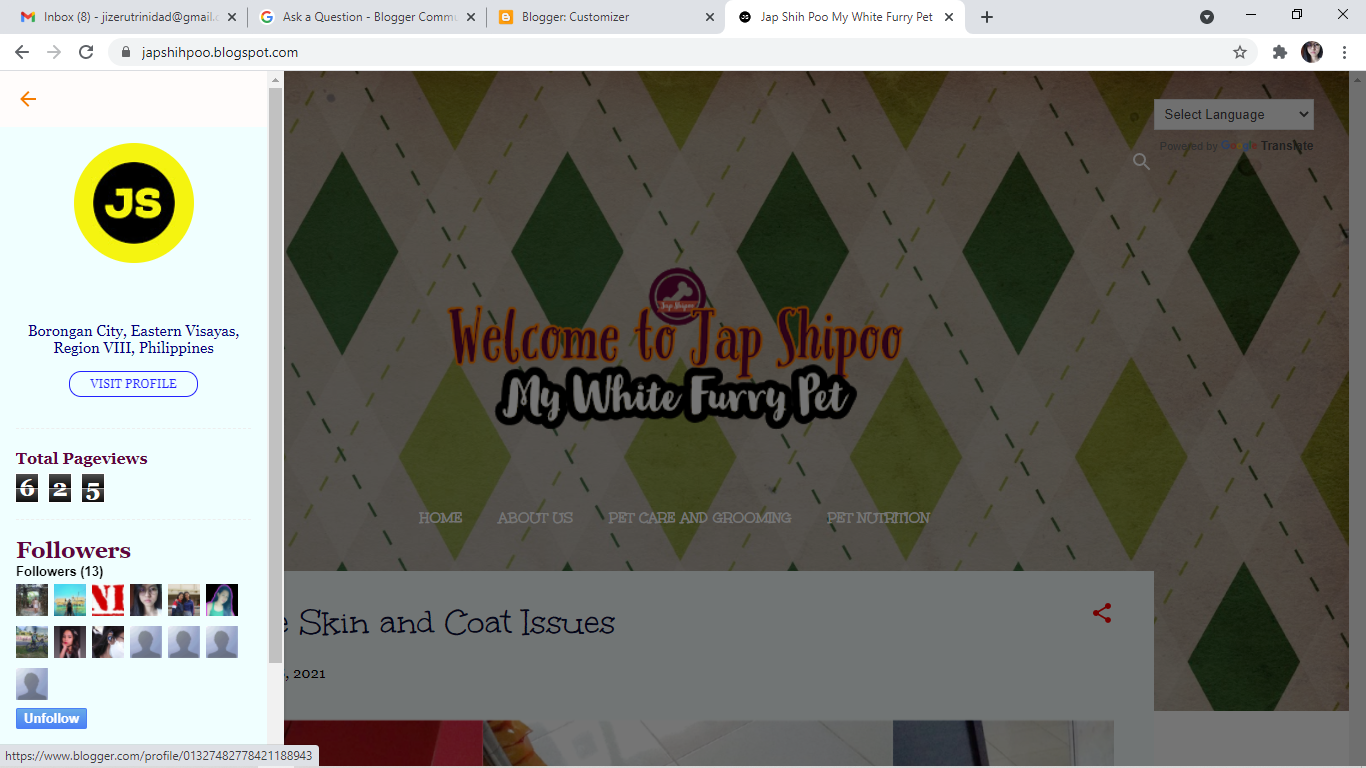 Why My Blogger Profile Name Is Not Showing Below My Profile Image
