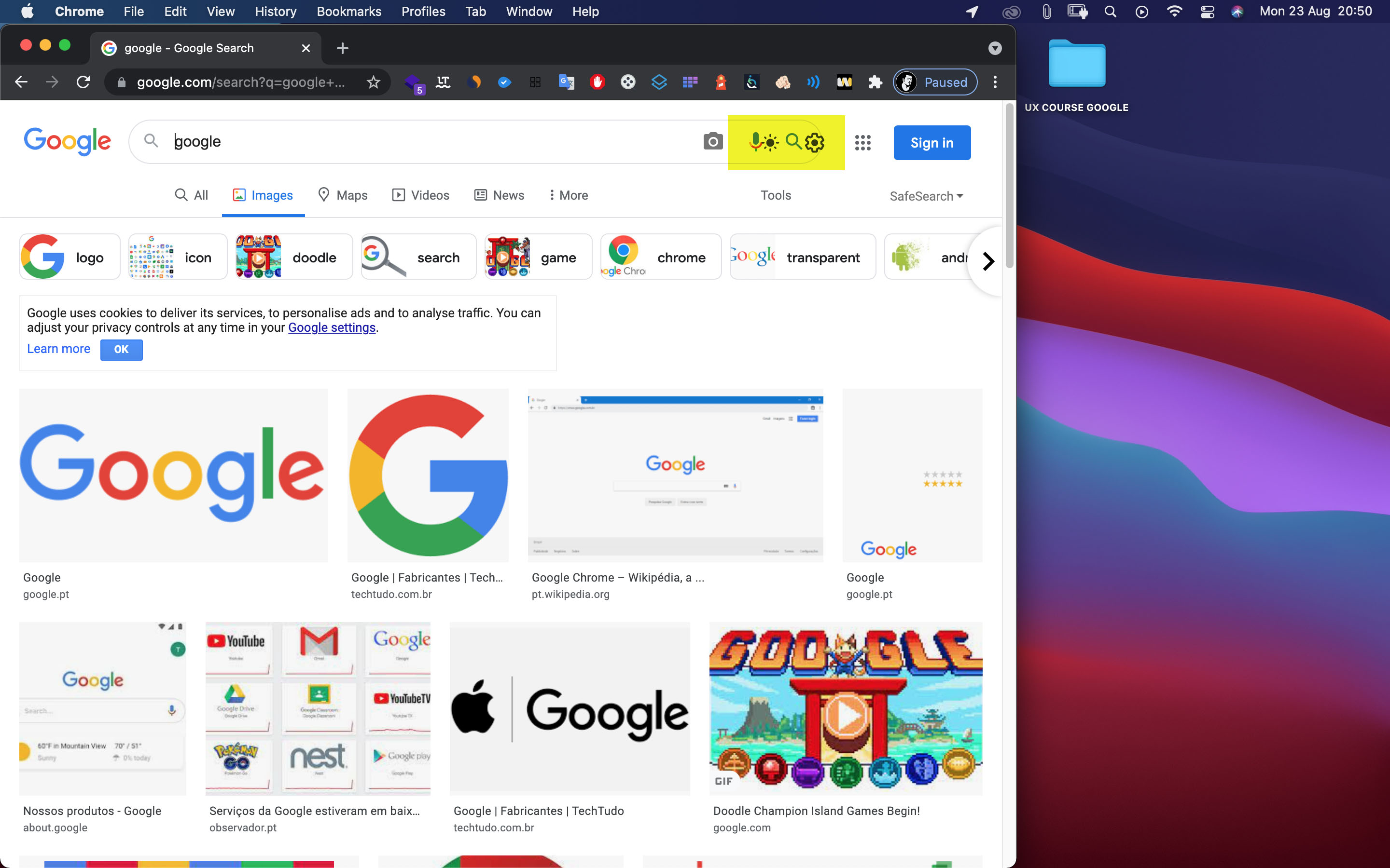 chrome browser icon