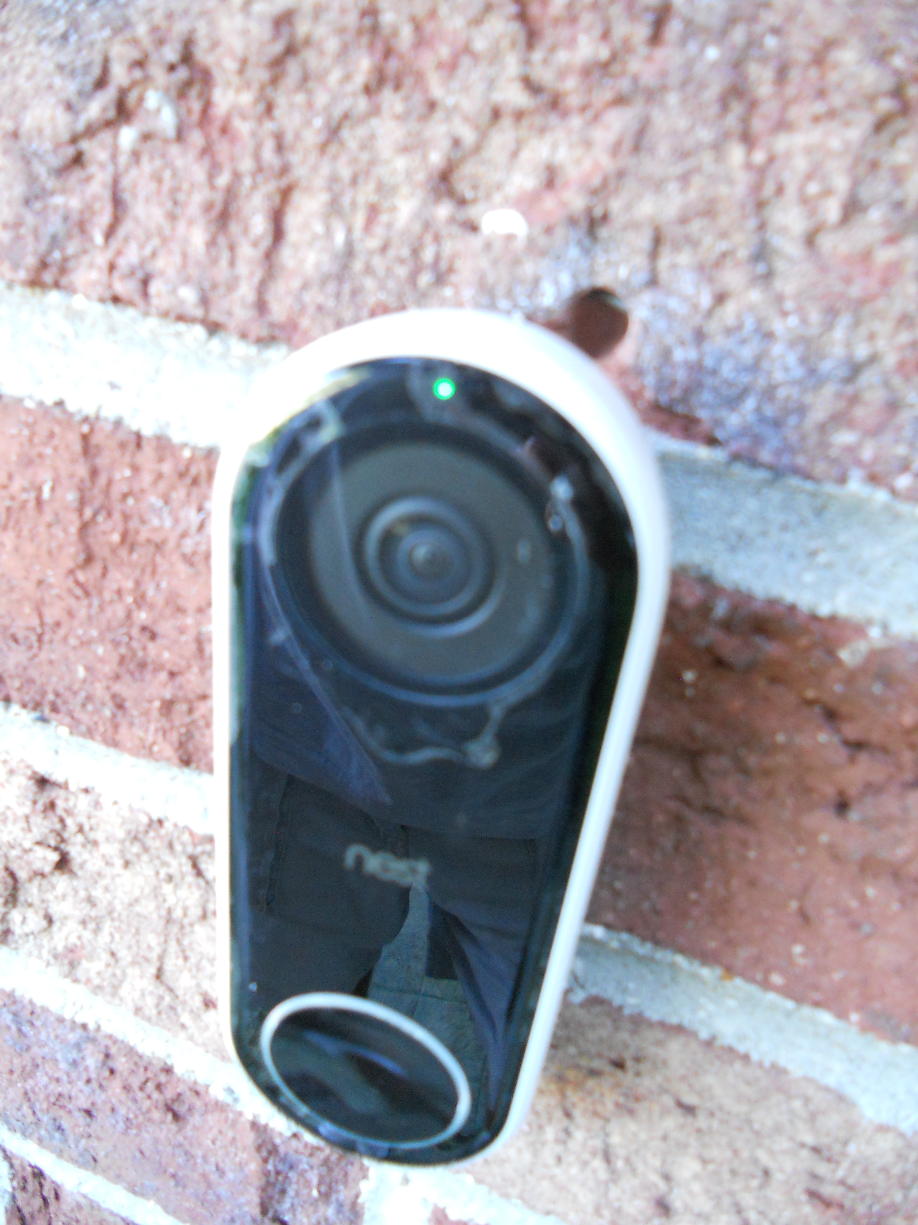 Nest hello sale community