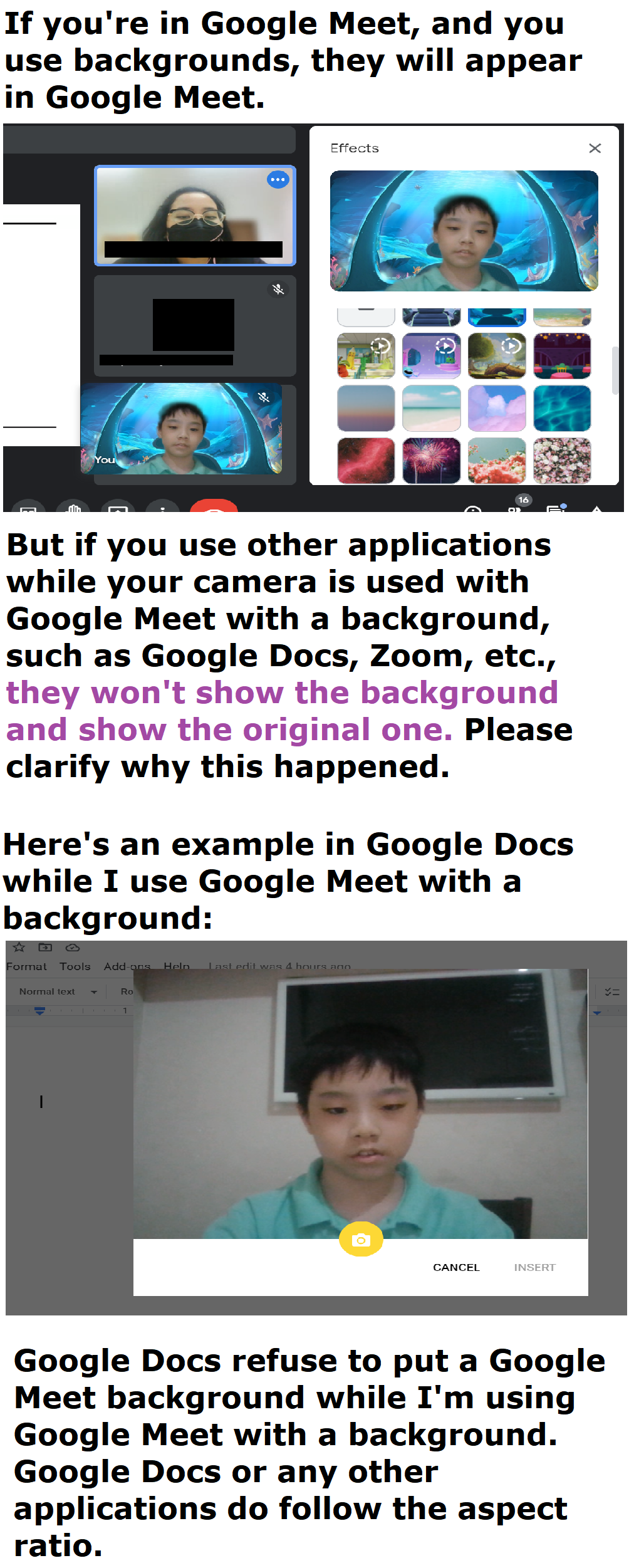 Why Google Meet background effects do not allow other apps to use Google  Meet background effects? - Google Meet Community