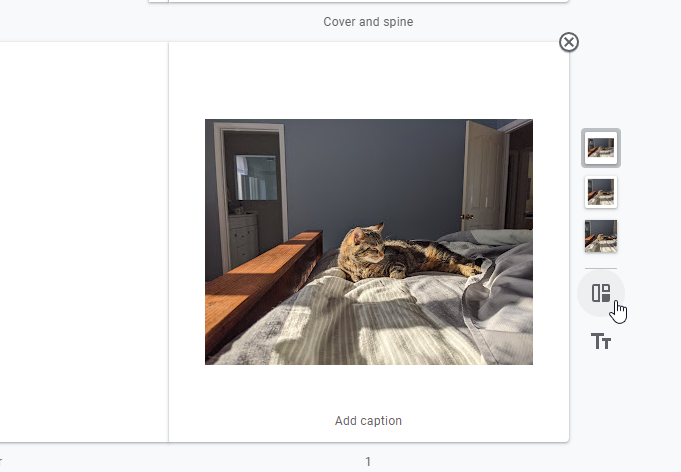 how to add text to photos in a google album