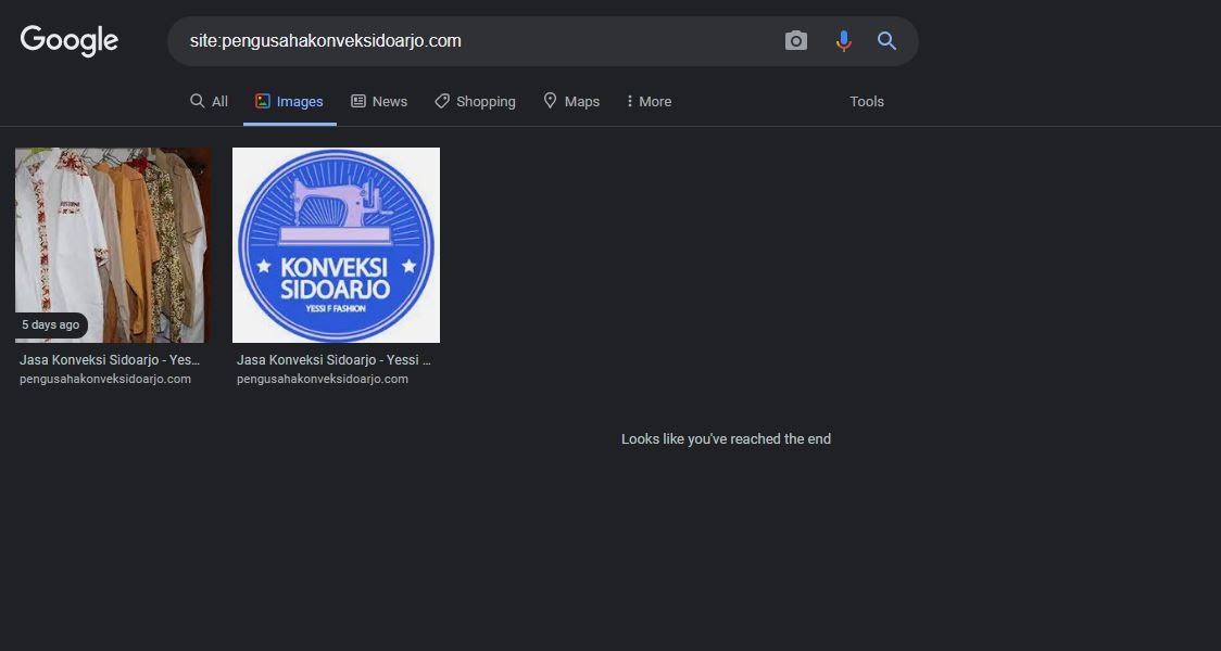 Image Format Webp No Index Google Search Central Community