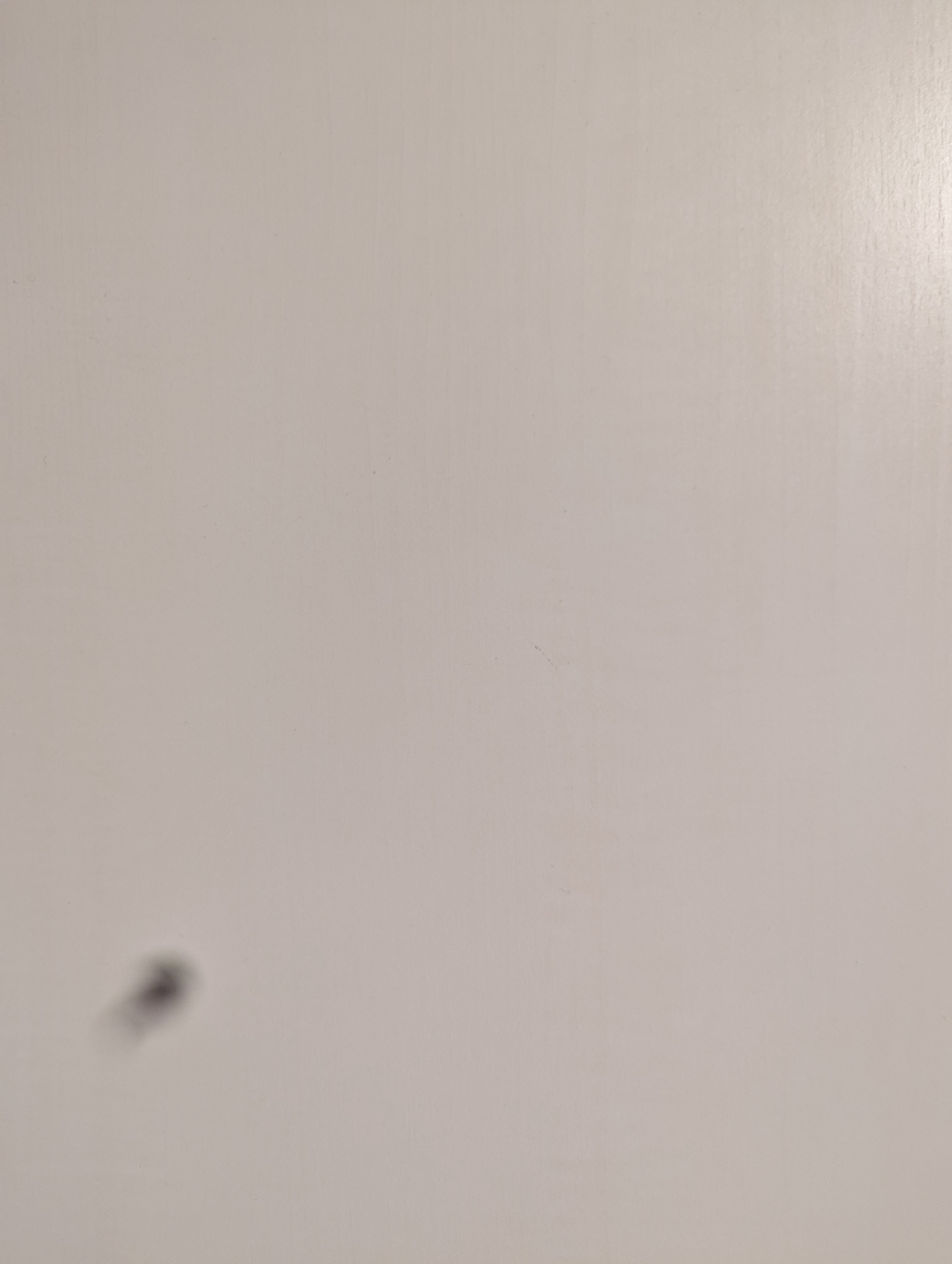 カメラで撮影しようと起動すると黒いぼやけた点がうつるのはなぜ