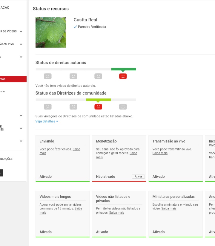 Não tenho a monetização do meu canal e tô flopado não sei oq posso