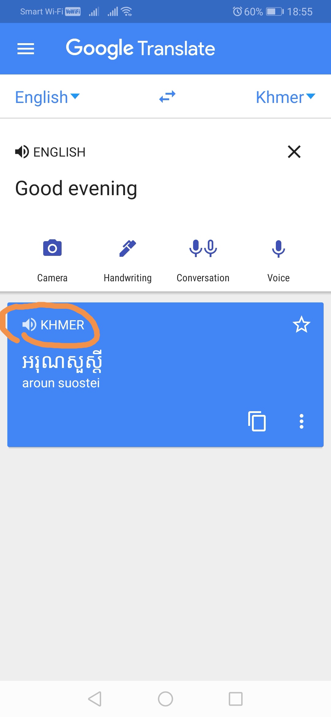 how do i use google translate voice