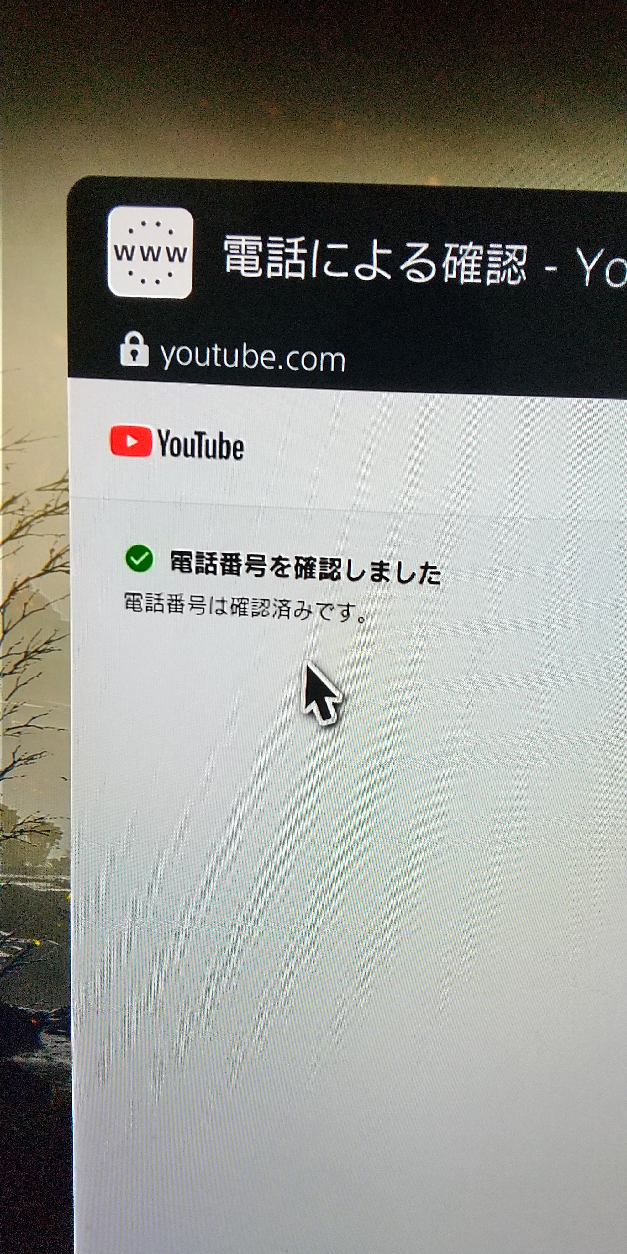 PS5でブロードキャストを始めたくてyoutubeに電話番号認証をしたけど