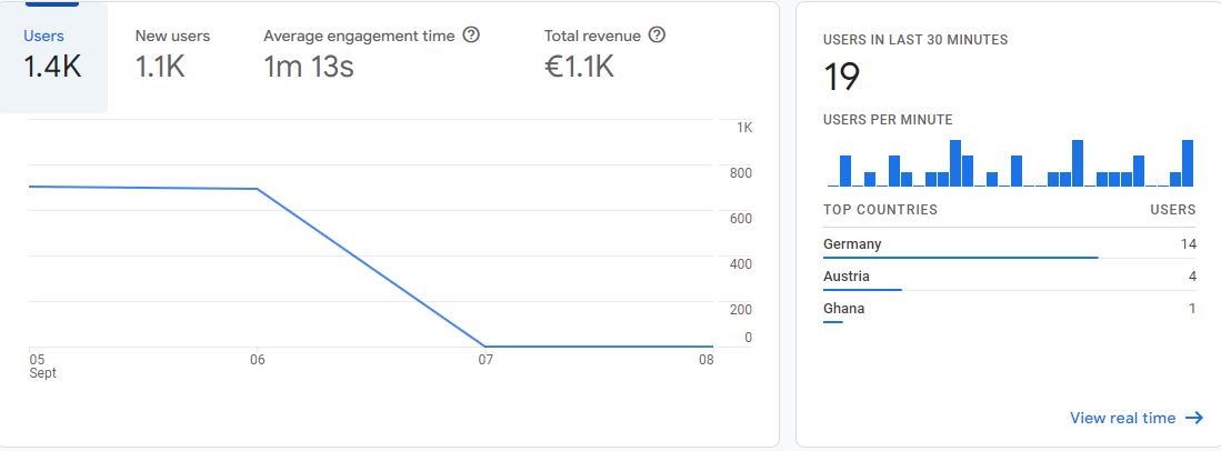 The Google Analytics graphs does not appear. What should I do