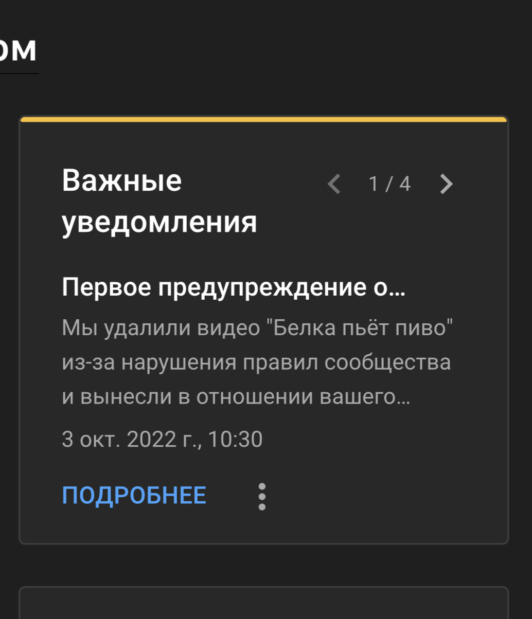 Удалили 2 раза видео про белку, которая пьет пиво - Форум – YouTube