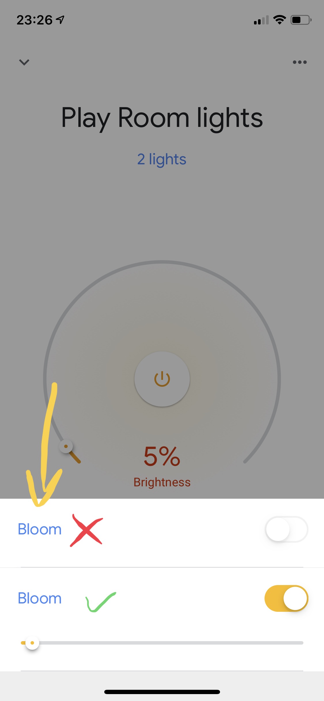 alexa duplicate hue lights