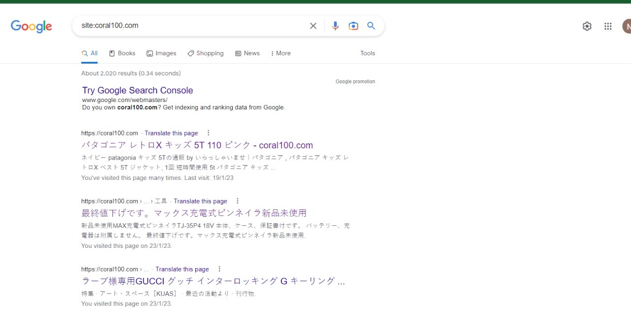 My Website SERP Page Title and Description Shown In JApnese