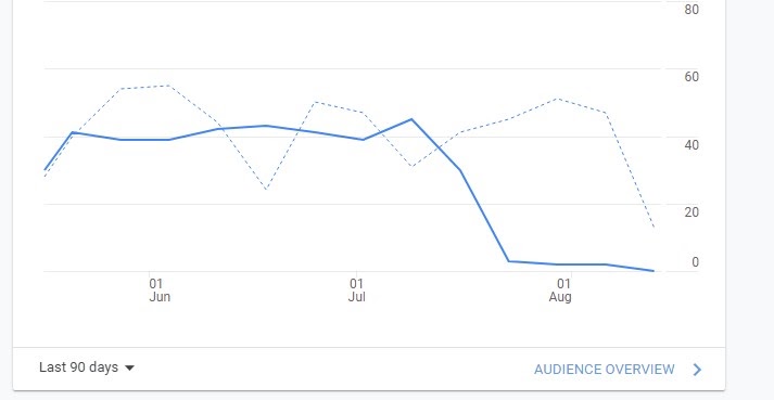 The Google Analytics graphs does not appear. What should I do