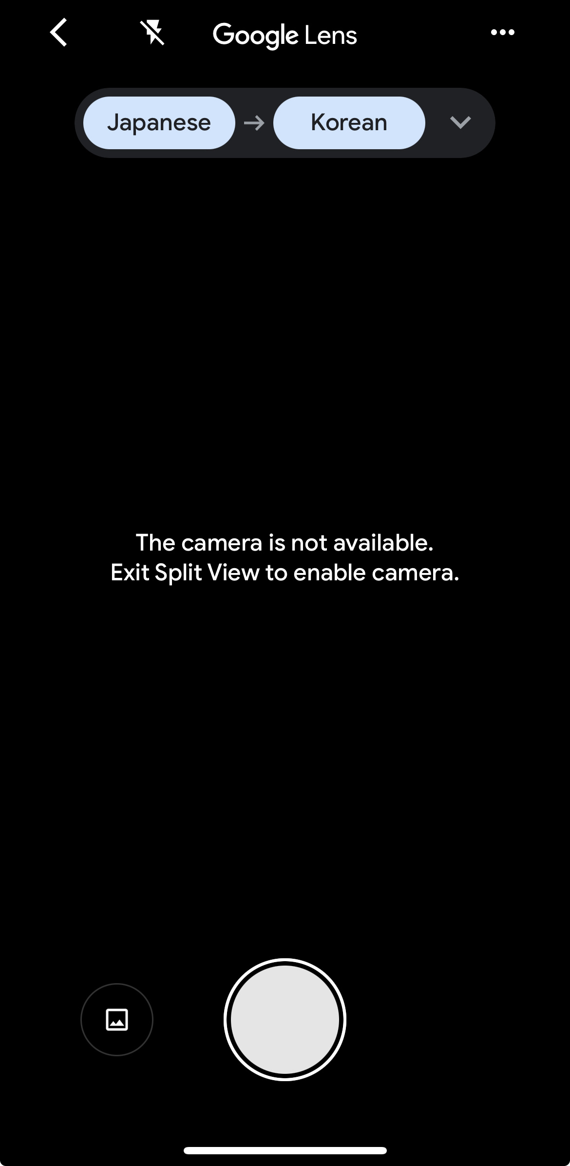 Unable to use camera function of google translate (Exit Split View