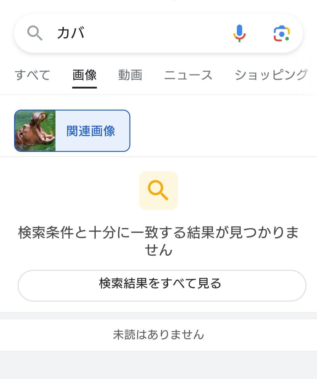 特定アカウントからスマートフォンで画像検索した場合のみで関連画像が 
