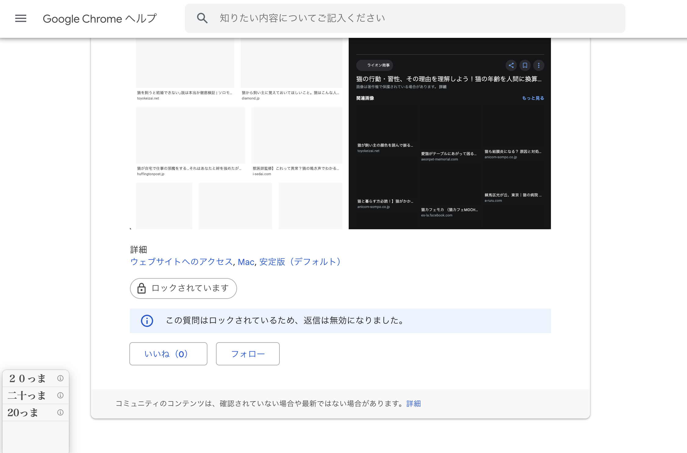 Ruru様 確認ページ 検索候補のポップアップでの出現(バグ） - Google