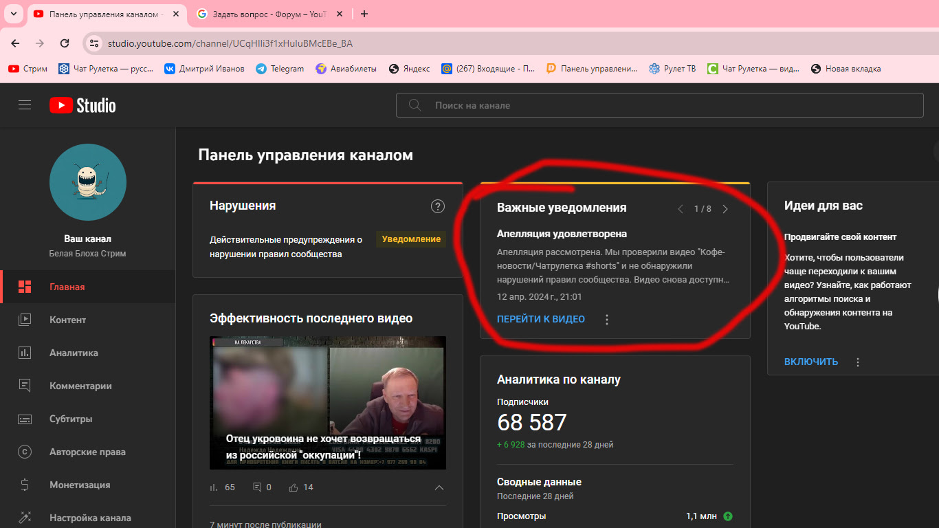 Была одобрена апелляция, но доступ к прямому эфиру не восстановили - Форум  – YouTube