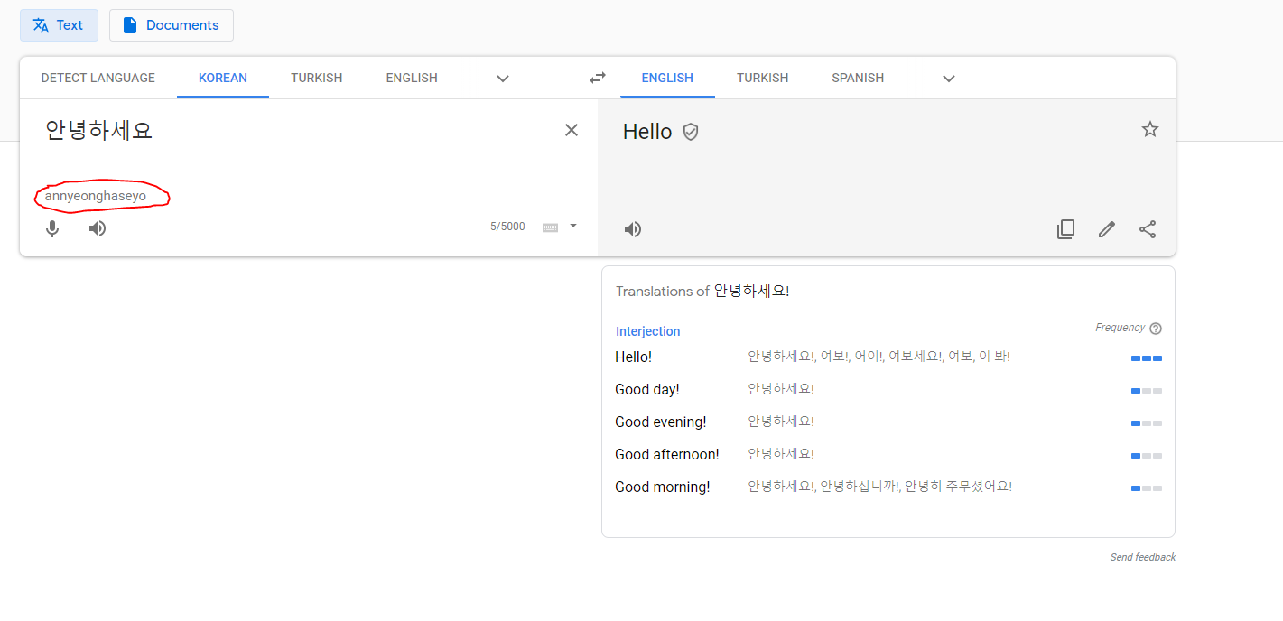 translate from english to korean google