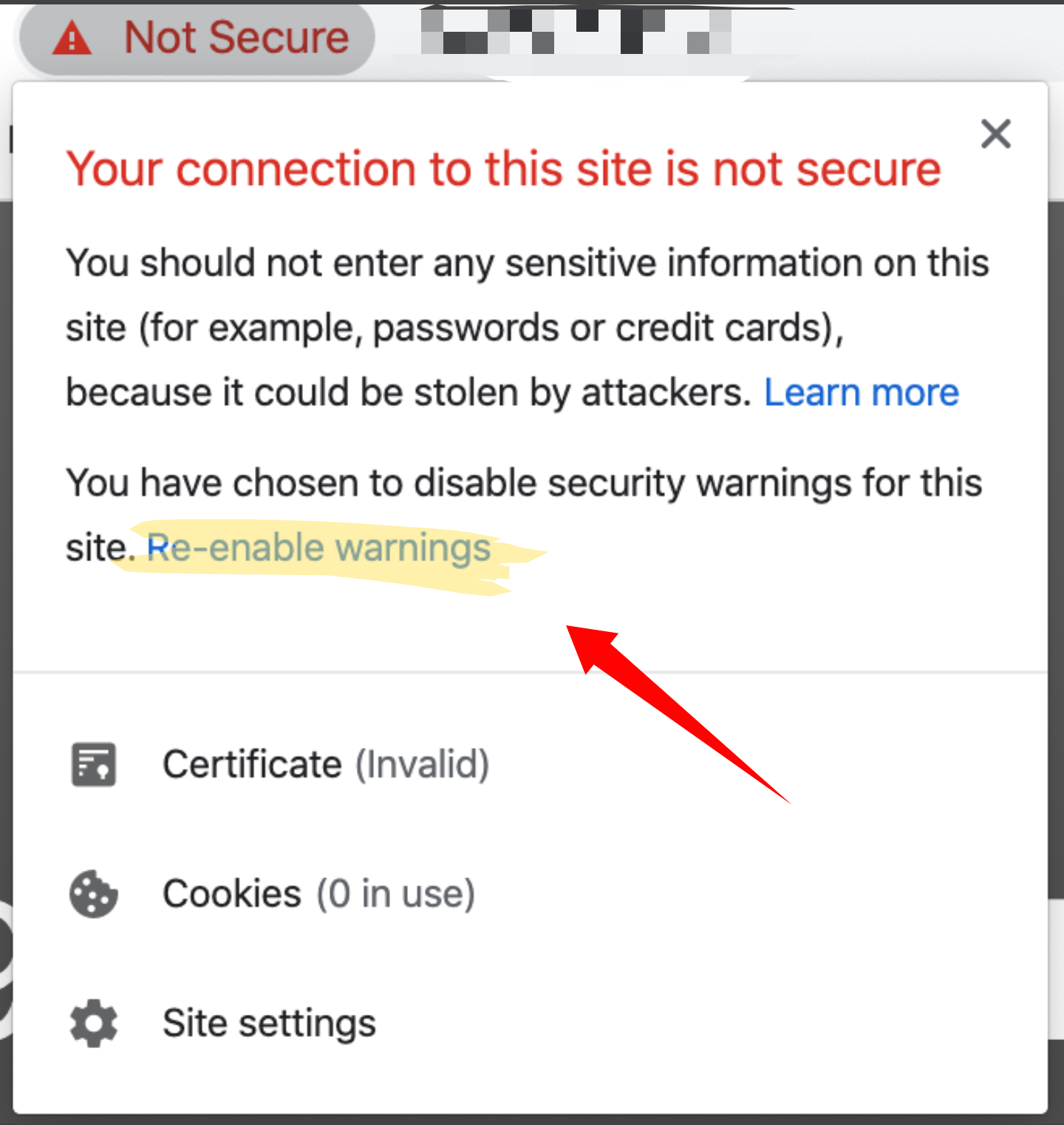 mac will not let me re enter password for google because it says insecure connection