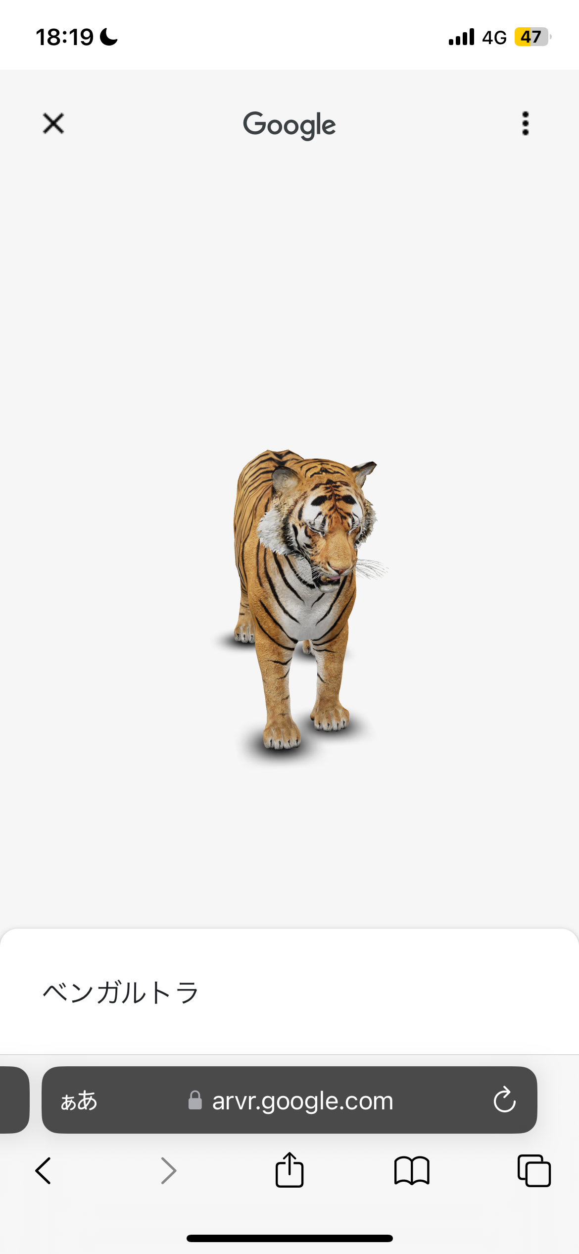 google 3d 動物 一覧