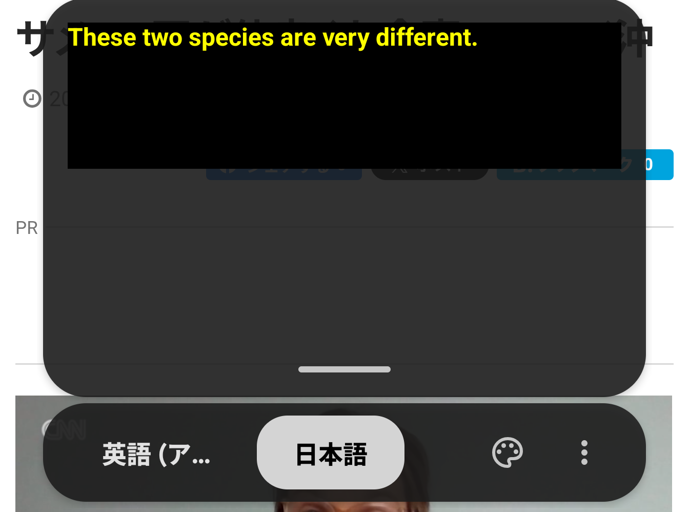 自動字幕起こしで日本語への翻訳の文字が表示されない - Google Pixel コミュニティ