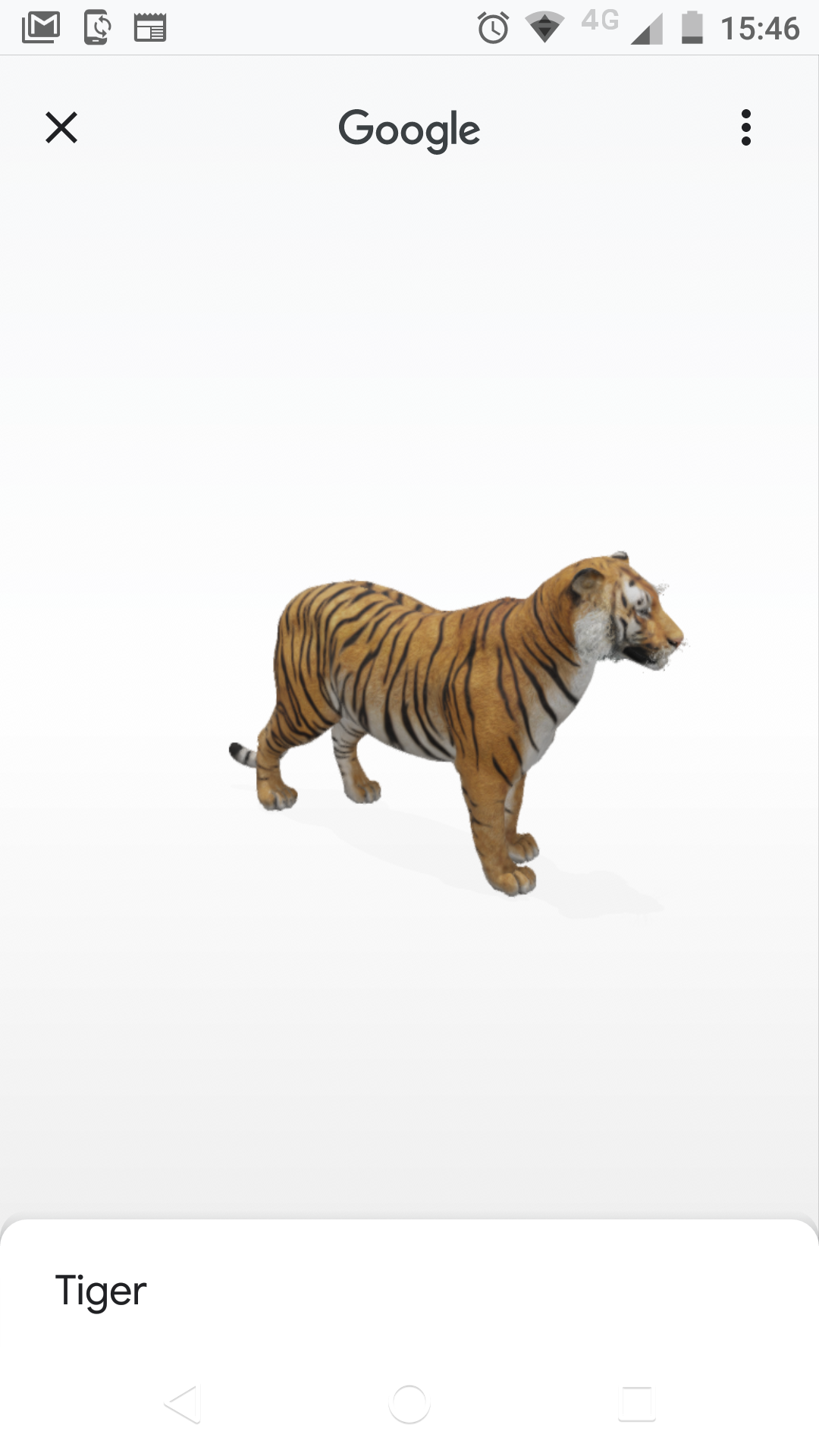 3D TIGER in Google (View AR Tiger 3D in Google Search) 