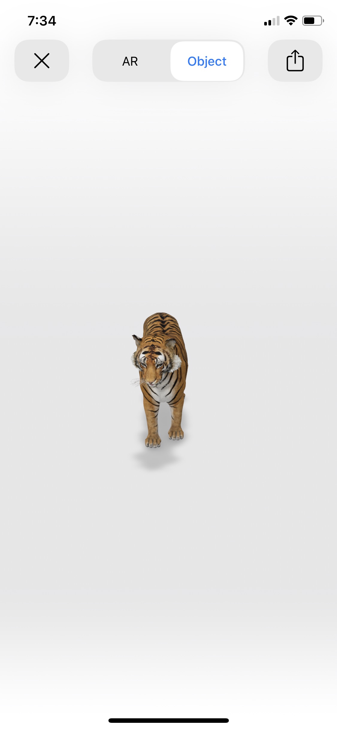 Google AR Animals