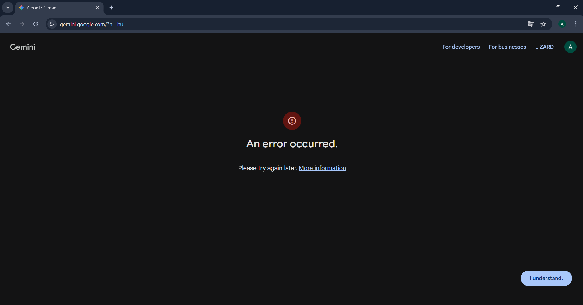 Gemini Analyzes Images Incorrectly - Gemini Apps Community