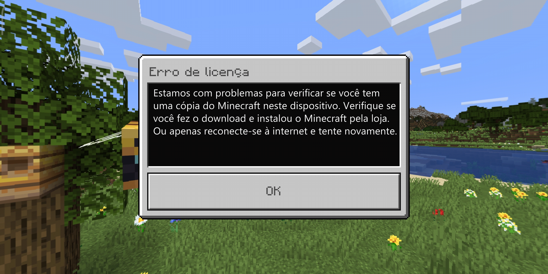 Apenas com o Minecraft que acontece isso - Comunidade Google Play