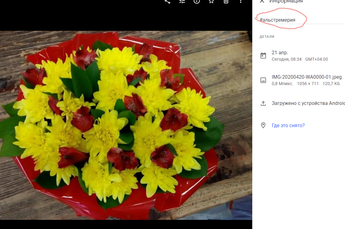 Здравствуйте, как мне скачать вместе с фото инофрмацию которую я прописала  к этому фото? - Форум – Google Фото