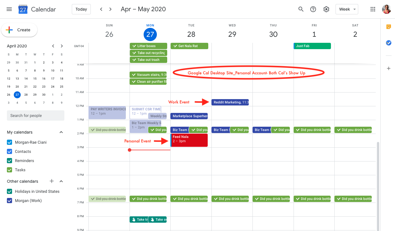 one google calendar not showing on windows 10 app