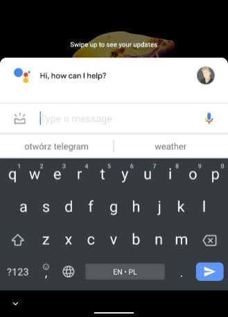 Google Assistant Compact View