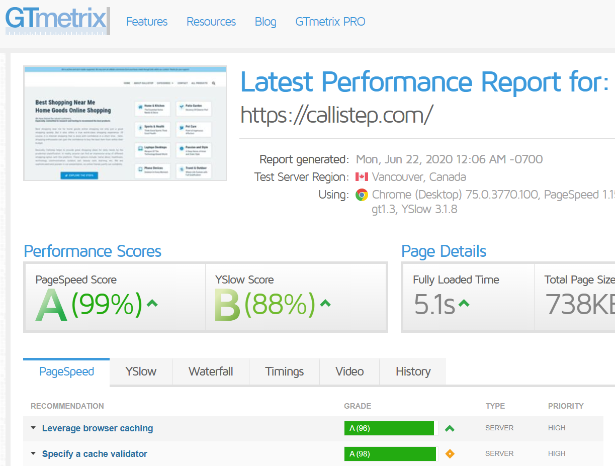 PageSpeed Insights VS gtmetrix - Questions - Forum