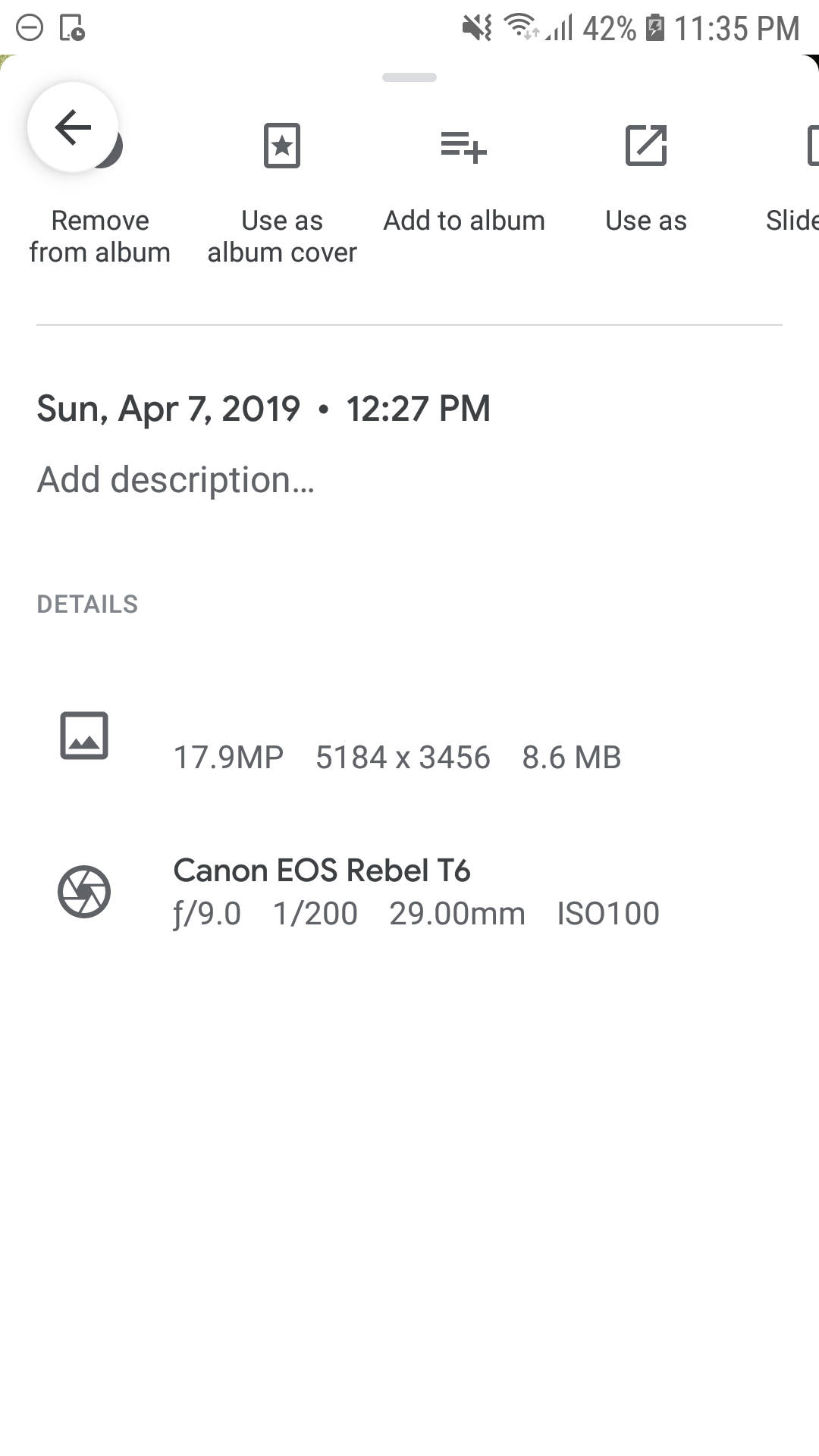 What Happens When You Delete Photos From Google Photos