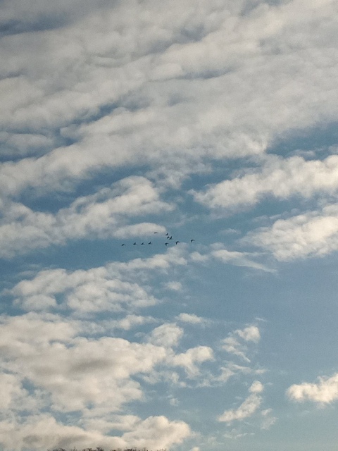 Gmail Облако Фото – Telegraph