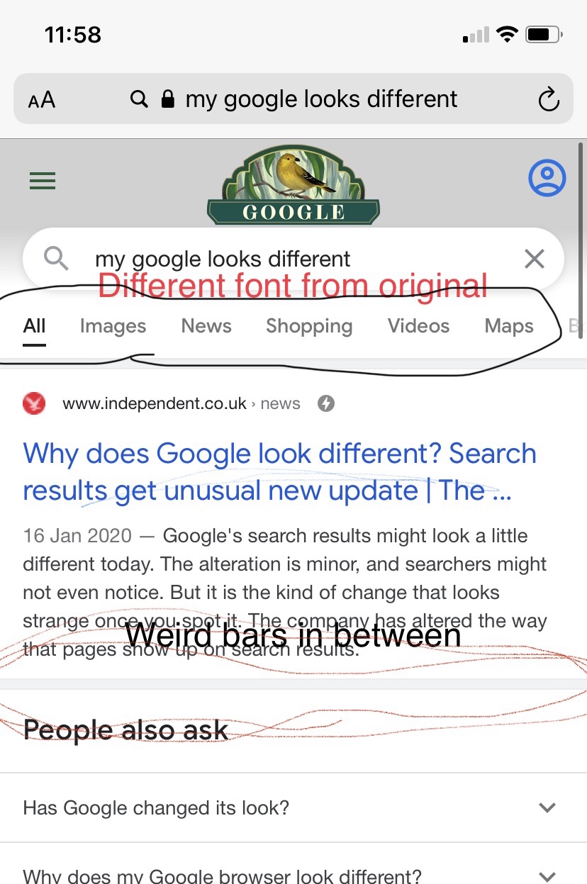 Why are Google Search results different?