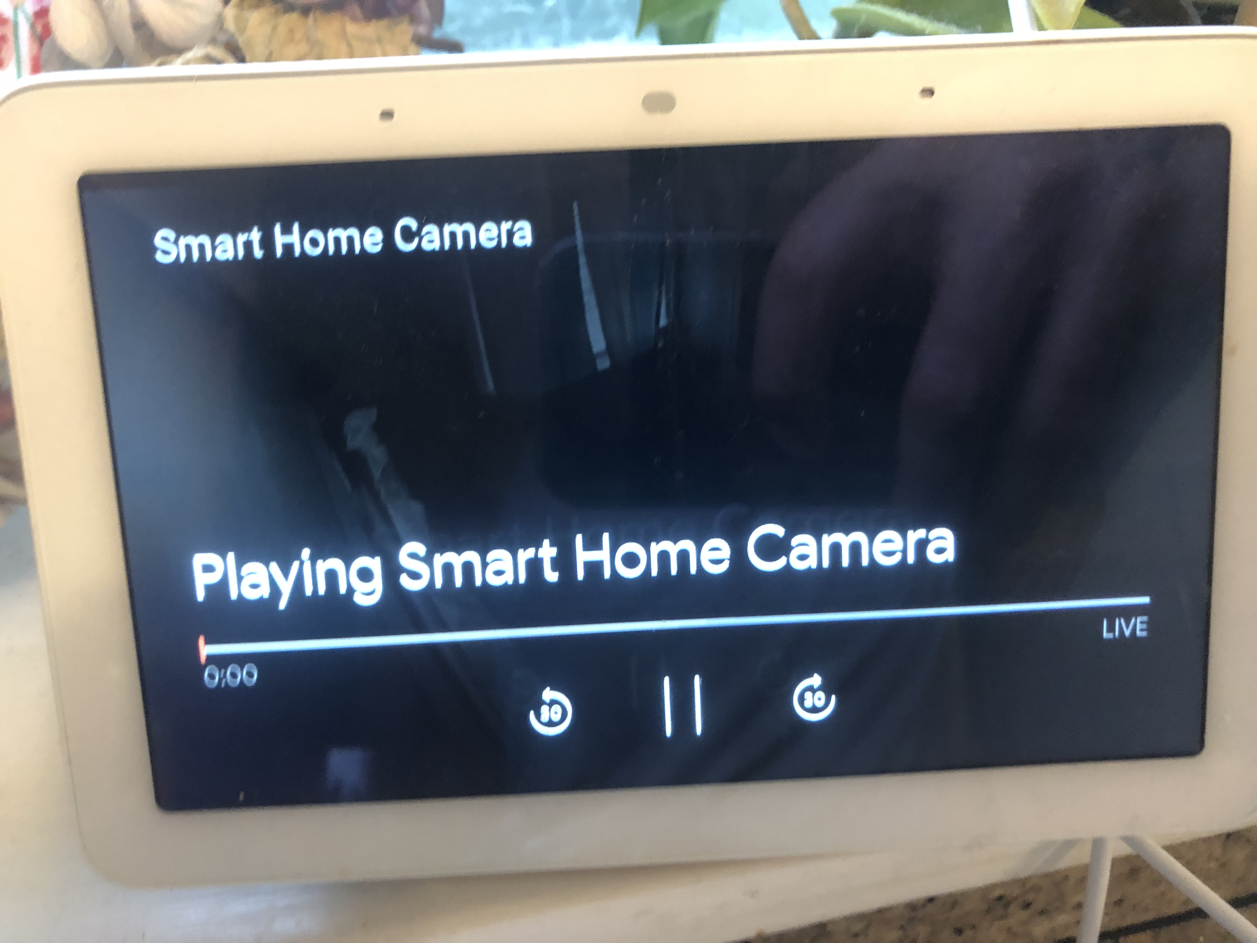 google home hub supported cameras