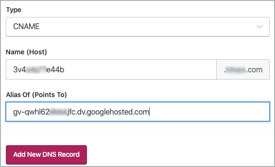 The Type, Name, and Alias Of fields are completed and the Add New DNS Record button is selected.