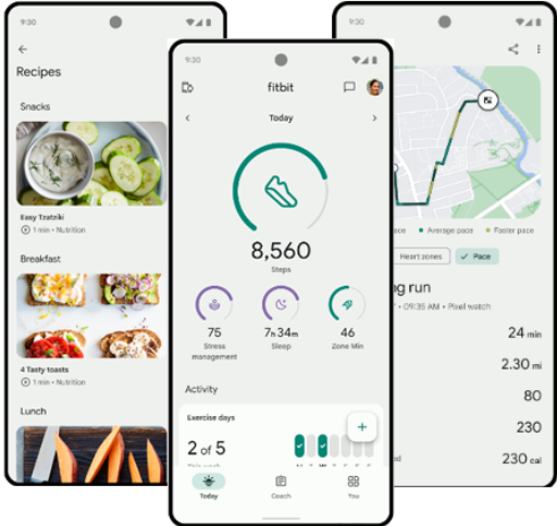 Fitbit - Apps on Google Play