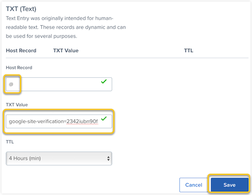 All fields of the TXT record are completed and the Save button is selected.