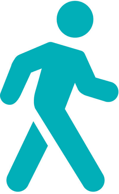 Fitbit track online walk