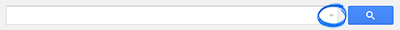 Gmail Search Box