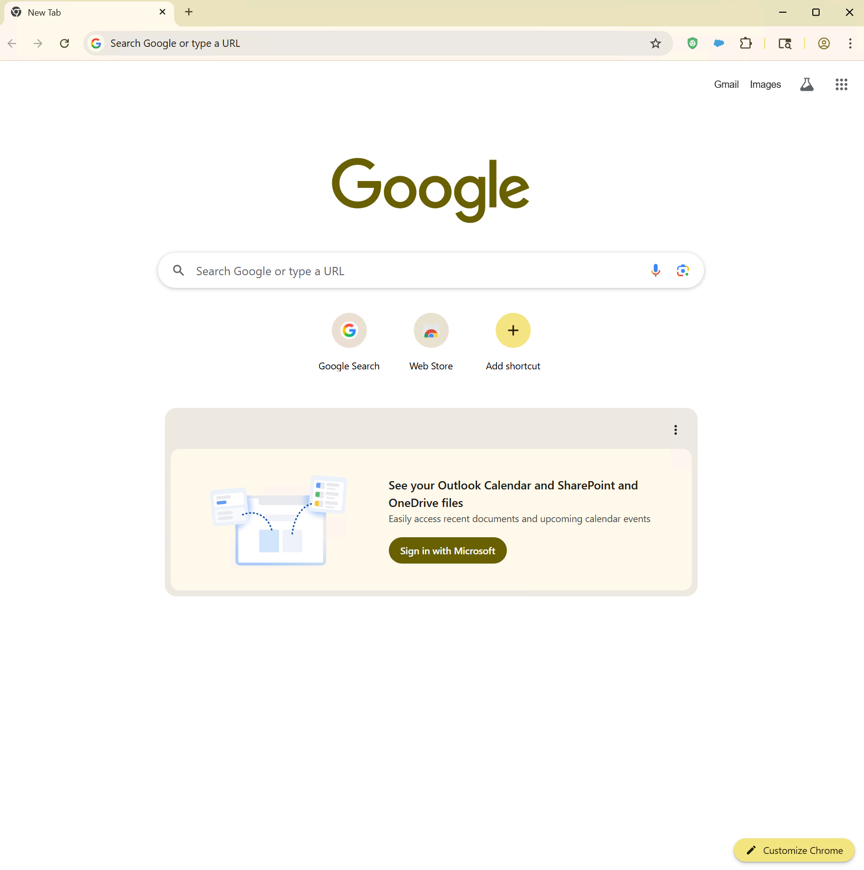 Chrome Web Store