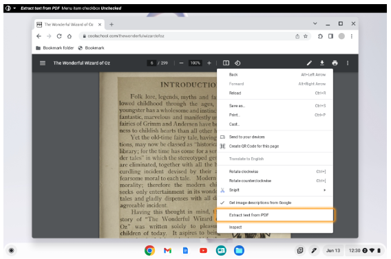 PDF reader