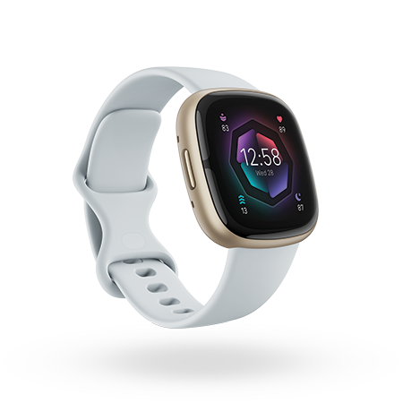 Manual de usuario Fitbit Versa 3 (Español - 89 páginas)