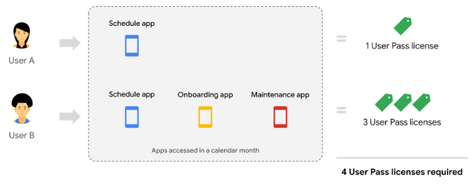 User Pass license consumption