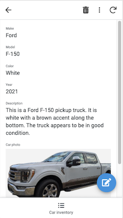 Car details with auto-populated fields