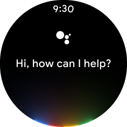 Google Pixel Watch Assistant